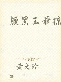 腹黑王爷掠邪妃