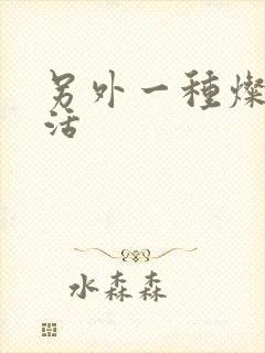 另外一种灿烂生活