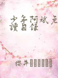 少年阿斌免费阅读目录