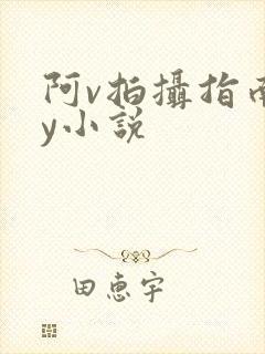 阿v拍摄指南by小说