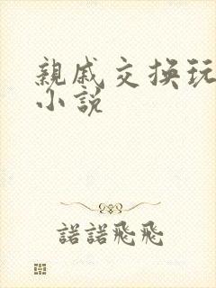 亲戚交换玩美妇小说