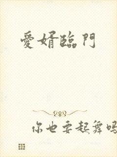 爱婿临门