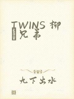 TWINS 柳澤兄弟