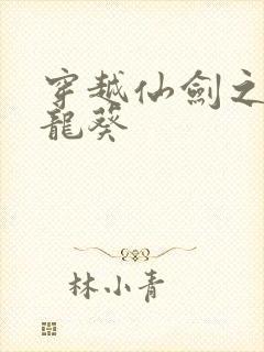 穿越仙剑之守护龙葵