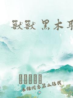 兽兽 黑木耳