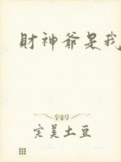 财神爷是我老板