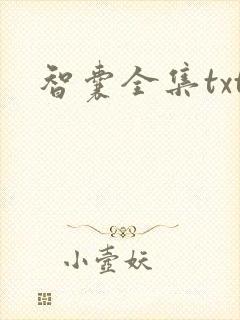 智囊全集txt