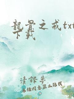 龙骨之戒txt下载