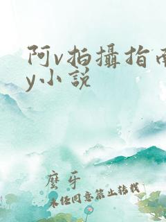 阿v拍摄指南by小说