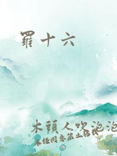 罗十六