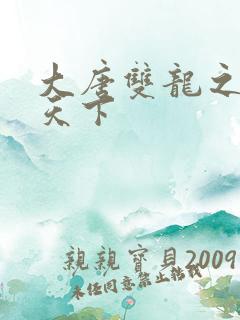 大唐双龙之无敌天下