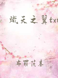 炽天之翼txt