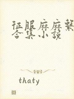 征服麻麻系列大合集小说