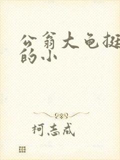 公翁大龟挺进我的小