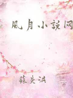 风月小说网