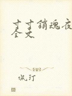 寸寸销魂夜春光全文