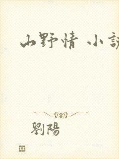 山野情 小说