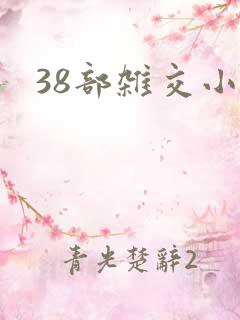 38部杂交小说