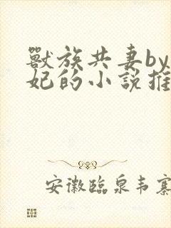 兽族共妻by黛妃的小说推荐