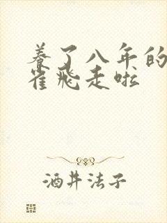 养了八年的金丝雀飞走啦