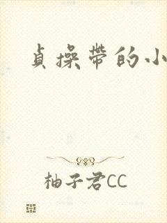 贞操带的小说