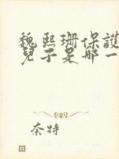 魏熙珊保护萧峥儿子是哪一集