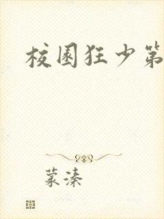 校园狂少第二部