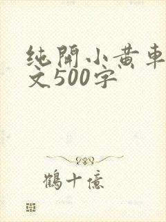 纯开小黄车小短文500字