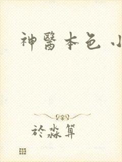神医本色 小说