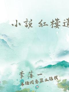 小说 红楼遗秘