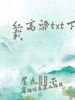 红高粱txt下载