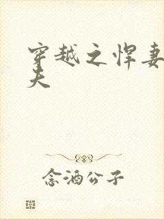 穿越之悍妻共三夫