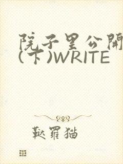 院子里公开惩戒(下)WRITE