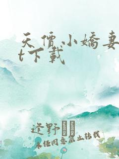 天价小娇妻txt下载