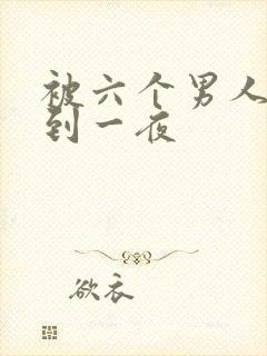 被六个男人躁J到一夜