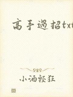 高手过招txt