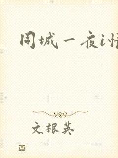 同城一夜i情
