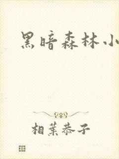 黑暗森林小说