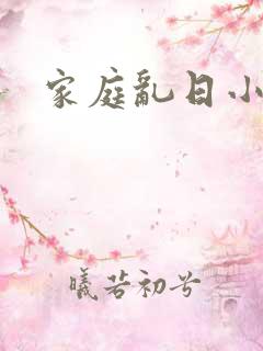 家庭乱日小说