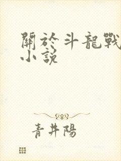 关于斗龙战士的小说