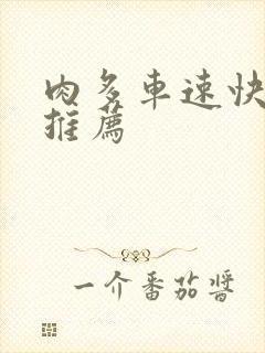 肉多车速快的书推荐