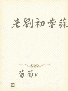 老刘初尝苏荷媳