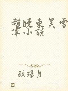 赵晓东吴雪晴郑伟小说