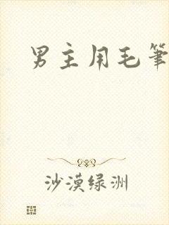 男主用毛笔女主