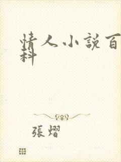 情人小说百度百科