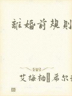 离婚前规则小说