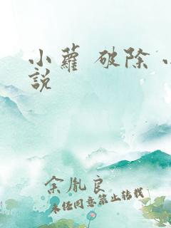 小萝 破除 小说