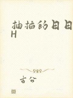 抽插的日日液液H