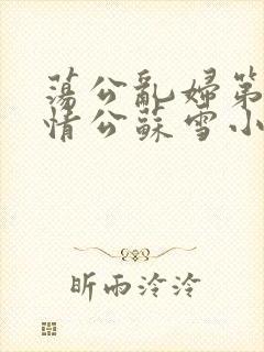 荡公乱妇第1章情公苏雪小说