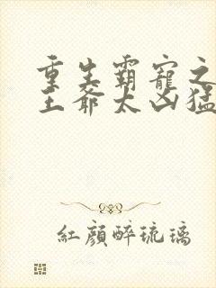 重生霸宠之摄政王爷太凶猛